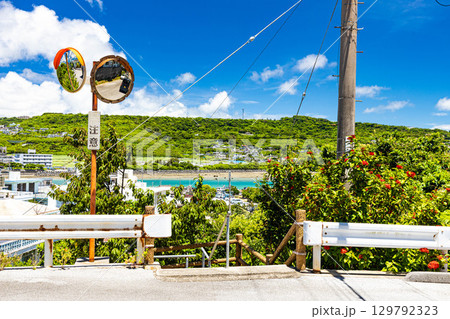 丘の上から眺めるokinawa 風景 129792323