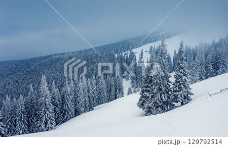 winter winter 129792514