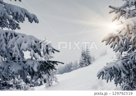winter winter 129792519