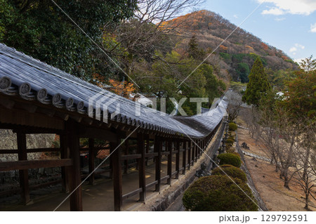 冬の岡山県岡山市　三備一宮　吉備津神社　廻廊 129792591