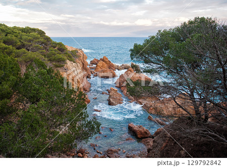 Beautiful landscape 129792842