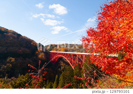 奥出雲のおろちループと紅葉、トロッコ列車おろちループ号 奥出雲のおろちループと紅葉、トロッコ列車おろちループ号 129793101
