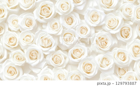 《AI画像》たくさんの真っ白な薔薇の花 129793887