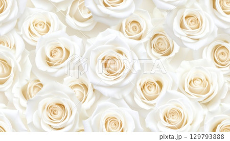 《AI画像》たくさんの真っ白な薔薇の花 129793888