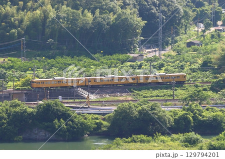 初夏の高梁川と伯備線115系電車（3両編成） 129794201