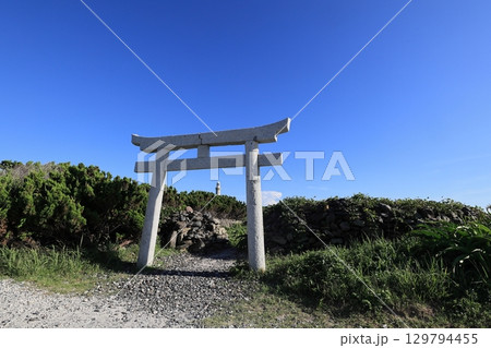 山口角島灯台2025⑤ 129794455
