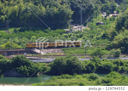 初夏の高梁川と伯備線115系電車（ワンマン運転：2両編成） 129794552
