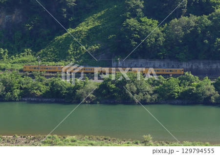 初夏の高梁川と伯備線115系電車（4両編成：ワンマン車両） 129794555