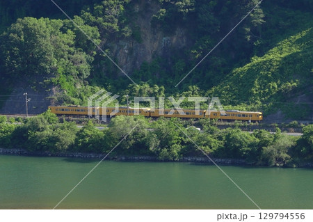 初夏の高梁川と伯備線115系電車（4両編成：ワンマン車両） 129794556
