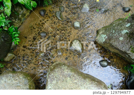 兼六園 せせらぎの飛び石 兼六園 せせらぎの飛び石 129794977