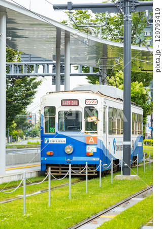 熊本市電　熊本駅前電停周辺 129795419