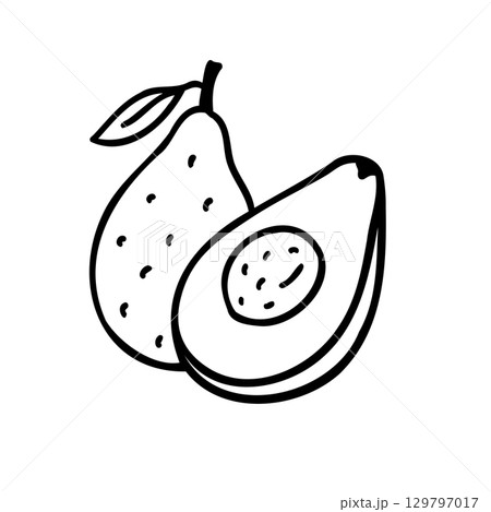かわいい手描きのアボカドイメージイラスト 129797017
