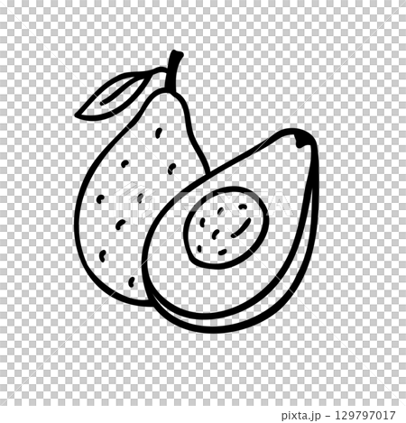 Cute hand-drawn avocado image illustration 129797017