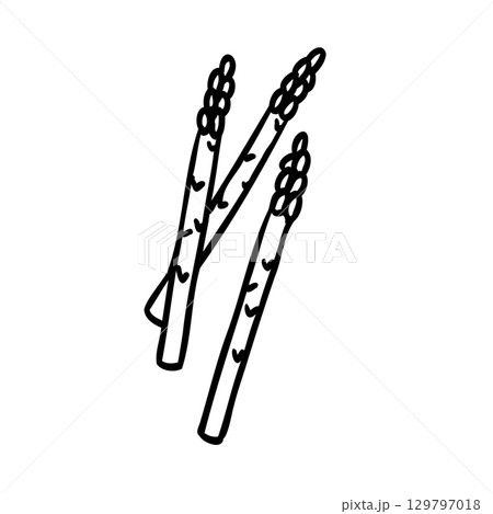 かわいい手描きのアスパライメージイラスト 129797018