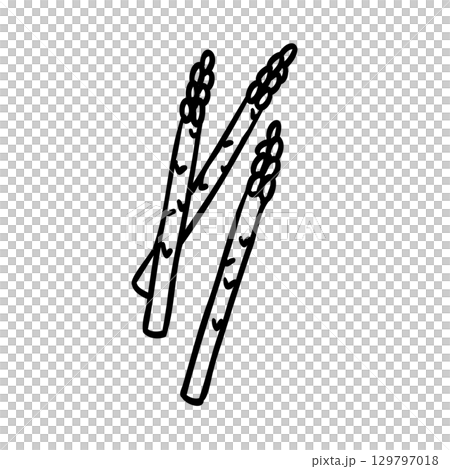 Cute hand-drawn asparagus image illustration 129797018