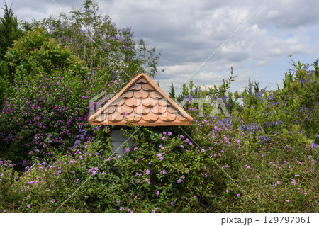 Tiled roof in a tropical garden with flowers in Vietnam 129797061