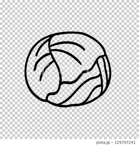 かわいい手描きのキャベツイメージイラスト 129797241