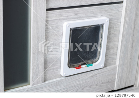 Expert Pet Door Installation Services Available for Modern Home Exteriors 129797340