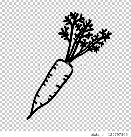 かわいい手描きのにんじんイメージイラスト 129797366