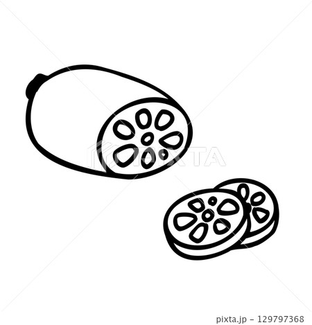 かわいい手描きのれんこんイメージイラスト かわいい手描きのれんこんイメージイラスト 129797368