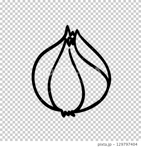 かわいい手描きの玉ねぎイメージイラスト 129797404
