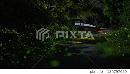 Magical Firefly Night at Pinglin New Taipei City Taiwan Woodland Shelter. 129797630