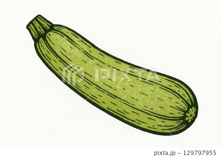 Zucchini illustration, diagonal contour sketch with lime green textured fill, hand-drawn natural style 129797955