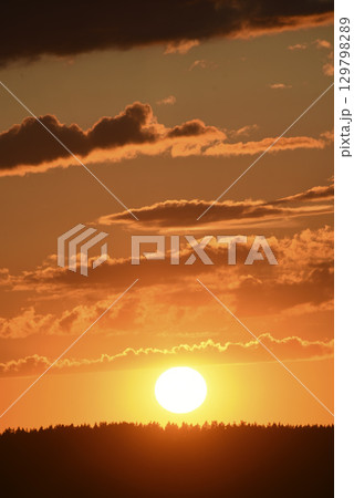A bright sunset against a forest background. Dark forest and setting sun. Red sunset in summer. A bright sunset against a forest background. Dark forest and setting sun. Red sunset in summer. 129798289