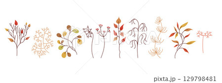 Botanical branch fall set with vibrant leaves and twigs. Autumn rustic trendy greenery vector. Ideal for posters, prints, invitations, decor and branding. Hand drawn minimal vector style. 129798481