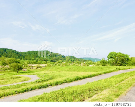 緑が爽やかな河原の風景 129798753