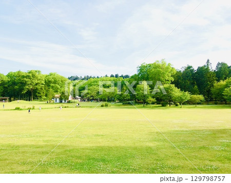緑がどこまでも広がる美しい公園 緑がどこまでも広がる美しい公園 129798757