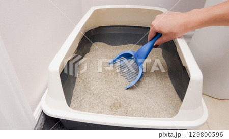 Scooping Cat Litter Box for Cleanliness Domestic Feline Hygiene and Pet Care Routine 129800596