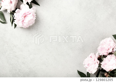 Pink Peony Flowers on Light Gray Stone Background 129801205