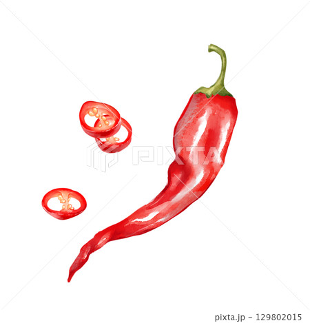 Hand-drawn illustration of a whole red chili pepper accompanied by slices 129802015