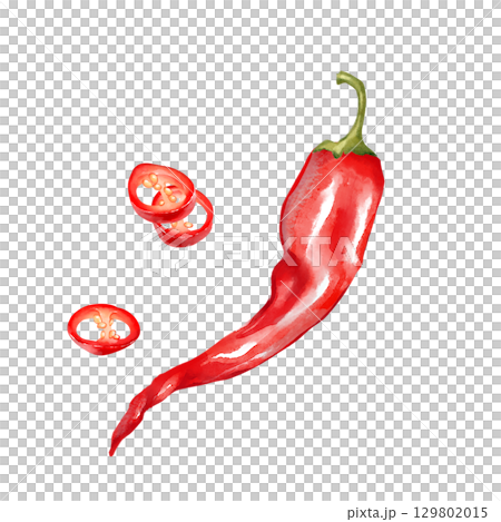 Hand-drawn illustration of a whole red chili pepper accompanied by slices 129802015