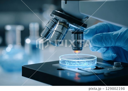 Microscope lab research with scientist hand adjusting sample. Close-up of petri dish under lens in modern laboratory setting. Blue gloves ensure sterile environment for study. Microscope lab research with scientist hand adjusting sample. Close-up of petri dish under lens in modern laboratory setting. Blue gloves ensure sterile environment for study. 129802198
