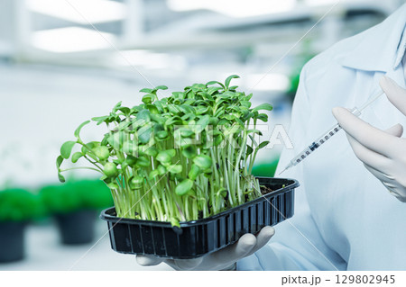 Generated image 129802945