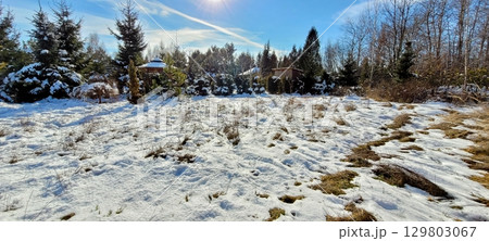 A Stunningly Peaceful Winter Landscape Featuring a SnowCovered Ground with Beautiful Trees 129803067