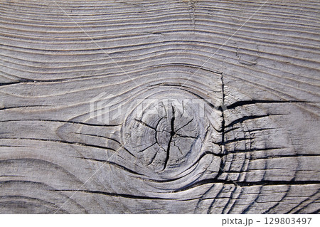 gray wooden texture background with knots and cracks, damaged by wind and sand gray wooden texture background with knots and cracks, damaged by wind and sand 129803497
