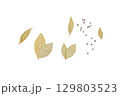 Set of spicy garlic, salt, black peas, bay leaf on white background 129803523