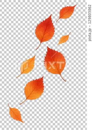 秋葉飄落的水彩插圖（透明PNG） 129803862