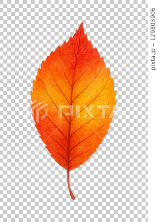 生動的秋季樹葉水彩插圖(透明PNG) 生動的秋季樹葉水彩插圖(透明PNG) 129803906