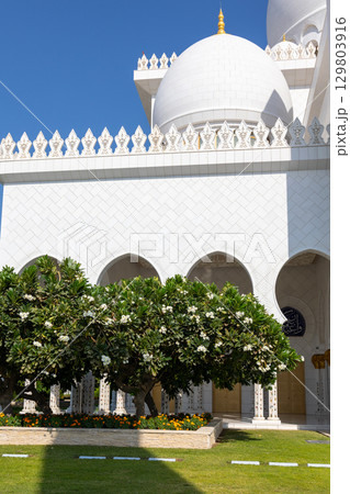 View of Sheikh Zayed Grand Mosque in Abu Dhabi with blooming green trees. Vertical photo. High quality photo View of Sheikh Zayed Grand Mosque in Abu Dhabi with blooming green trees. Vertical photo. High quality photo 129803916
