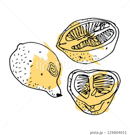 set of lemons from whole fruit and halves in sketch style on yellow spot, pulp with seeds set of lemons from whole fruit and halves in sketch style on yellow spot, pulp with seeds 129804031