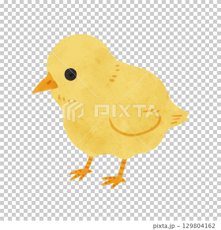 Chick watercolor hand-drawn illustration Chick watercolor hand-drawn illustration 129804162