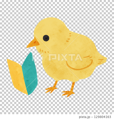ひよこと初心者マーク 水彩風手描きイラスト ひよこと初心者マーク 水彩風手描きイラスト 129804163