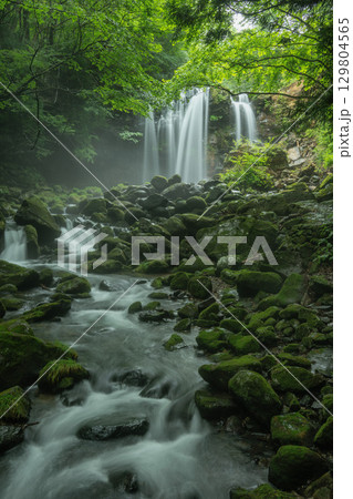 新緑に映える乙女の滝 129804565