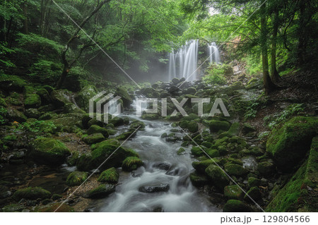 新緑に映える乙女の滝 129804566