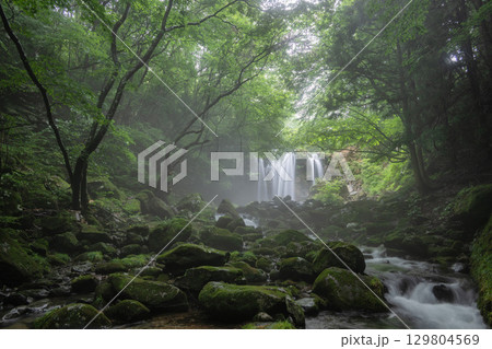 新緑に映える乙女の滝 129804569