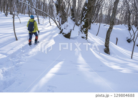 森の新雪をスノーシューで楽しむイメージ 大山木谷沢渓流 森の新雪をスノーシューで楽しむイメージ 大山木谷沢渓流 129804688